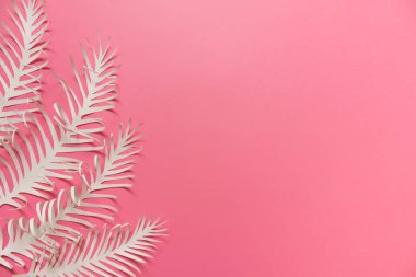 Pembe arka planda üç kağıt tüyü var.