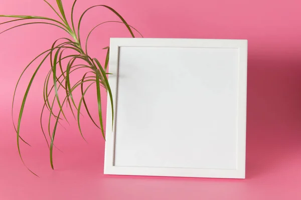 Pembe arka camlı yeşil bitkili beyaz model çerçeve