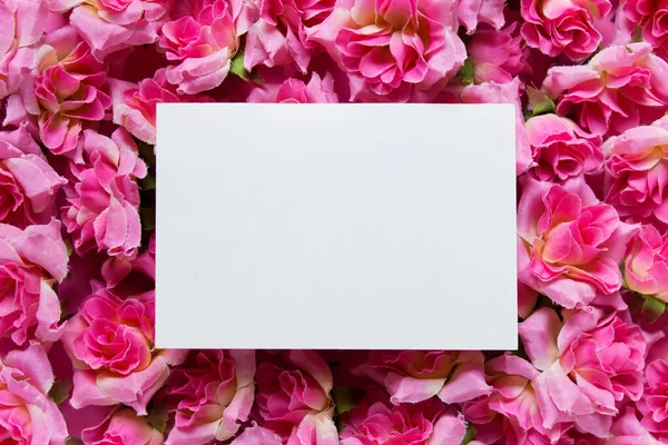 Tarjeta de felicitación blanca con espacio en blanco vacío en la lujosa alfombra — Foto de Stock