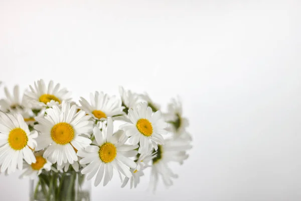 Bouquet of white summer daisies — 스톡 사진