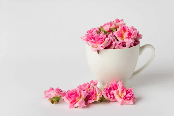 Taza Con Rosas Sobre Fondo Blanco Muchas Rosas Rosadas Foto —  Fotos de Stock