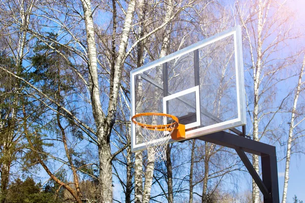 Basketball net hoop installed in public park surrounded by trees.