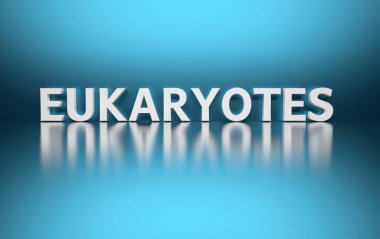 Bold white biology science term word Eukaryotes on blue background over reflective surface. 3d illustration. clipart