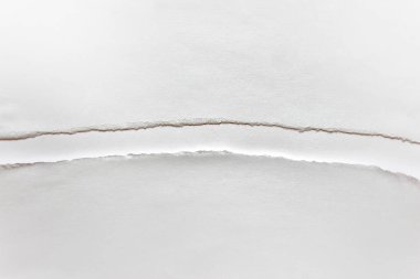 Yırtık kenarlı ve ortasında dar çizgi olan beyaz kağıt tabaka düzenleme. Boş alanı kopyalayan fotoğraf.