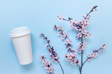 Logo metni için boş alanı olan beyaz kahve şablonu modeli ve mavi arka planda çiçekli sakura ağacı dalı.