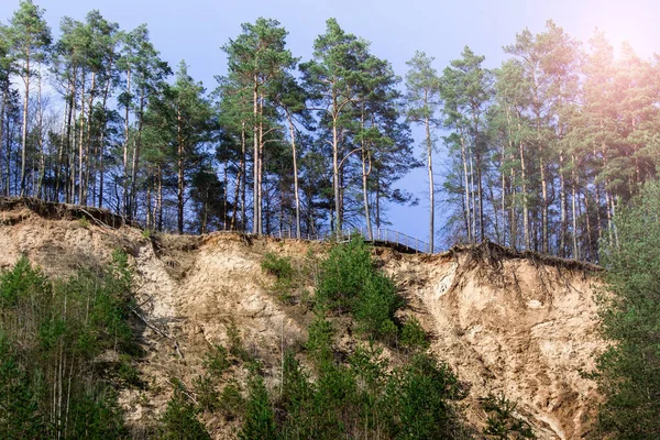 Paesaggio Con Una Scogliera Sabbia Una Foresta Pini Luogo Turistico — Foto Stock