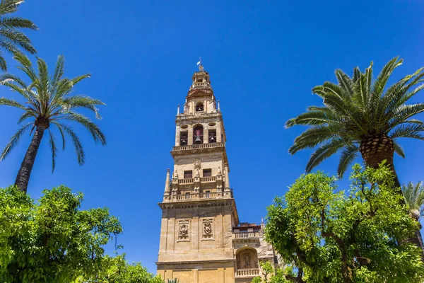 Palmer och klockstapel i moskén katedralen i Cordoba — Stockfoto