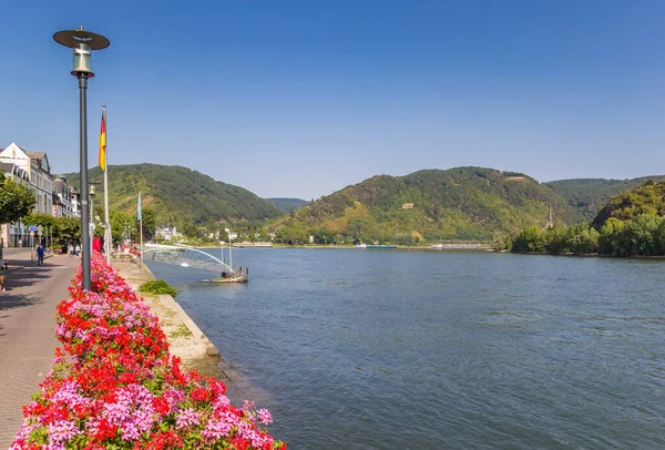 Flores coloridas no passeio marítimo em Boppard — Fotografia de Stock