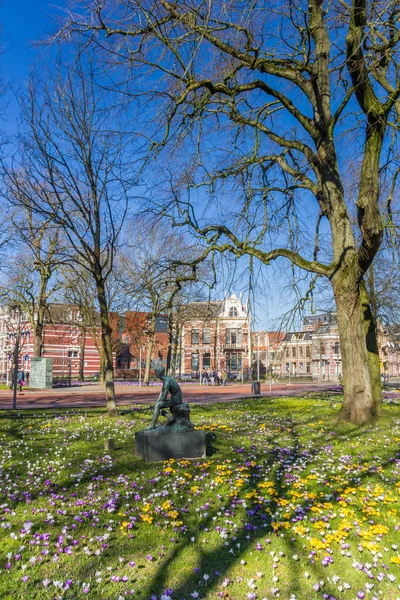 Estátua em um campo de crocos em Groningen — Fotografia de Stock