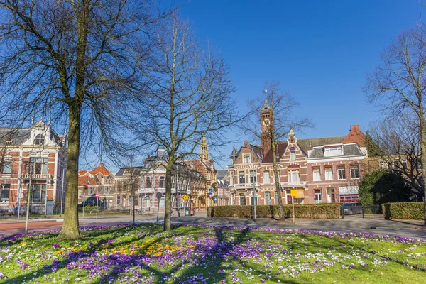 Krokussen, oude huizen en kerktoren in Groningen — Stockfoto