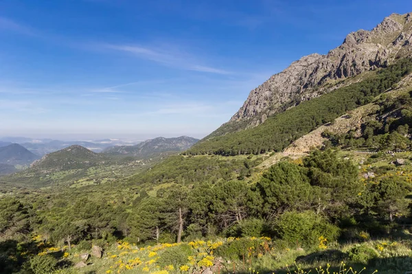 Grazalema National Park from the Puerto del Boyar viewpoint — 스톡 사진