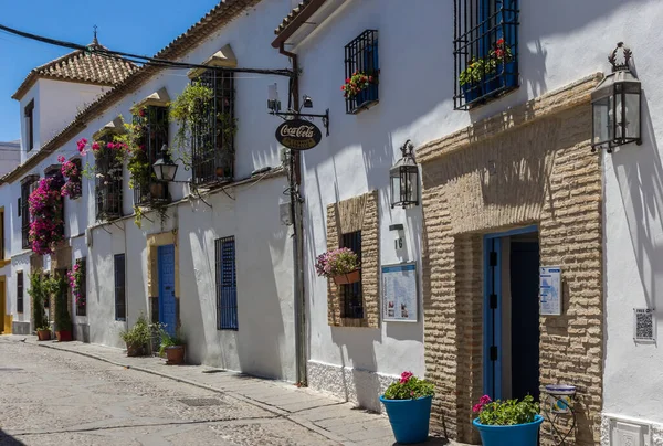 Gata Med Vitkalkade Hus Cordoba Spanien — Stockfoto