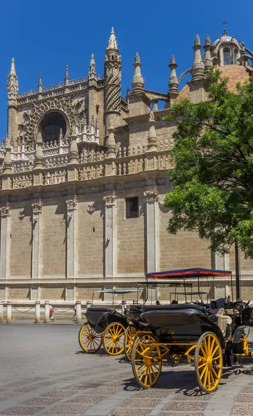 Carruaje Caballos Frente Catedral Sevilla España — Foto de Stock