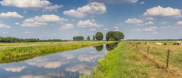 Панорама Річки Двінгелерстайл Дренте Нідерланди — стокове фото