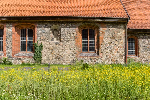 Żółte Kwiaty Ogrodzie Kościoła Jana Flensburgu Niemcy — Zdjęcie stockowe
