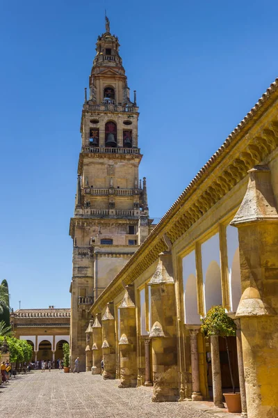 Cordoba Cami Katedralinin Avlusunda Çan Kulesi Spanya — Stok fotoğraf