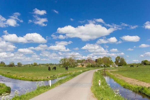 Narrow Country Road Leading Small Village Dorkwerd Groningen Netherlands — Stock Photo, Image