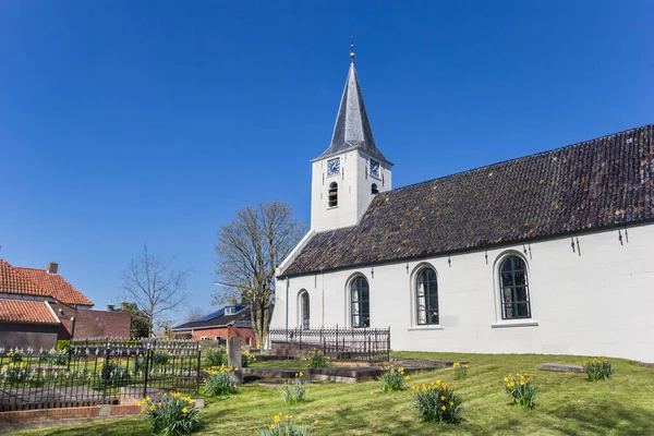 Narzissenblumen Vor Der Kirche Von Vierhuizen Niederlande — Stockfoto