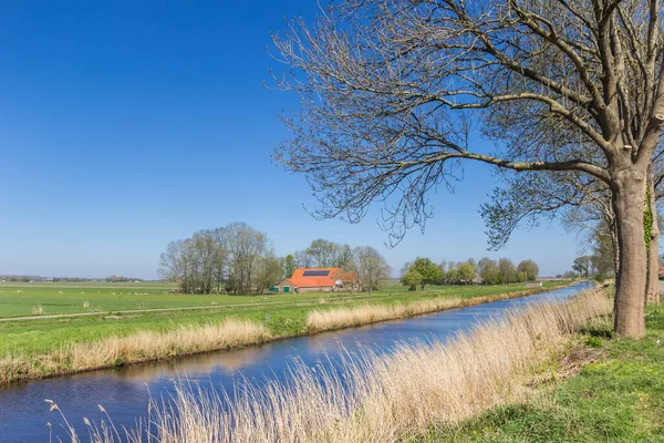 Hollanda Kuinre Deki Linde Nehri Ndeki Ağaçlar — Stok fotoğraf