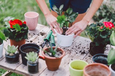 Elinde çiçekle saksıları tutan bir kadın resmi.