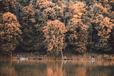 Göl ve ağaçlarla dolu sonbahar manzarası
