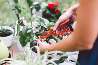 Çiçekçi bahçede çiçek yapıyor.