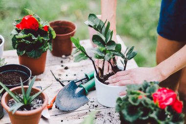 Saksıda çiçek tutan bir kadın resmi.