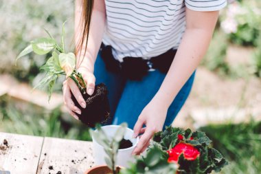 Elinde çiçekler olan bir kadının kırpılmış görüntüsü.