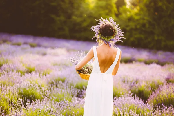 Vacker Kvinna Vit Klänning Samla Lavendel Blommor Fältet Vid Solnedgången — Stockfoto