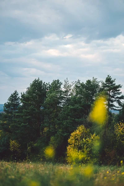 Krásná Krajina Stromy Mraky Obloze — Stock fotografie