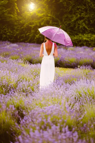 Vacker Kvinna Vit Klänning Med Paraply Poserar Bland Lavendel Blommor — Stockfoto