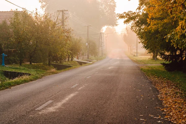 Foggy höst scen och asfalt väg — Stockfoto