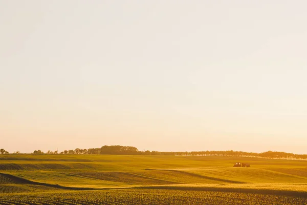 Agricultural Field Morning — Stock Photo, Image