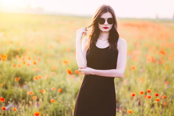 Junge Schöne Frau Posiert Feld Bei Sonnenuntergang — Stockfoto