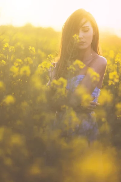 黄色の花の分野の女性は — ストック写真