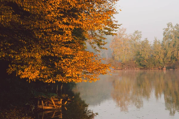 Rivier in herfstbos — Stockfoto