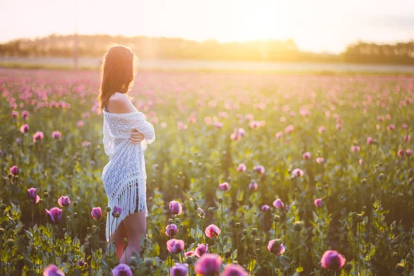 Jeune Belle Femme Posant Dans Champ Coucher Soleil — Photo