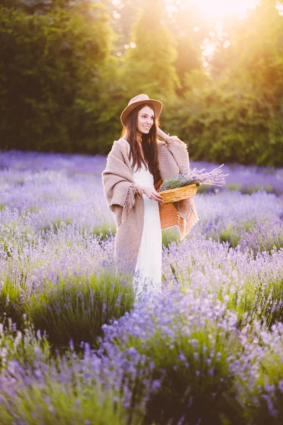 Vacker Kvinna Vit Klänning Samla Lavendel Blommor Fältet Vid Solnedgången — Stockfoto