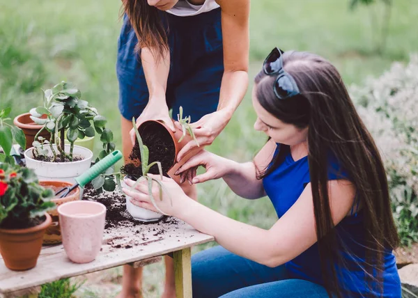Young Women Planting Flowers Pots Yard — Stock Photo, Image