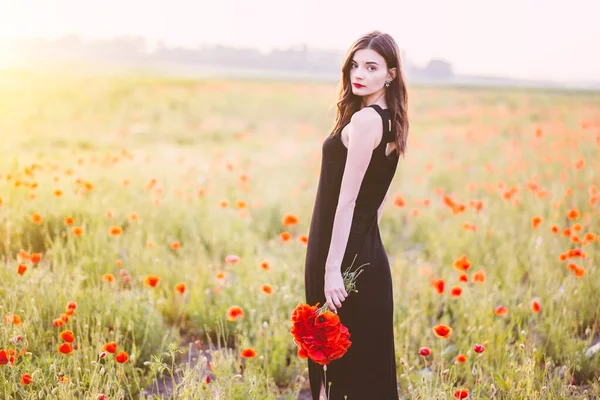 Junge Schöne Frau Posiert Feld Bei Sonnenuntergang — Stockfoto