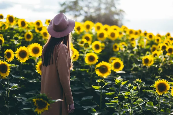 Giovane Donna Campo Girasole — Foto Stock