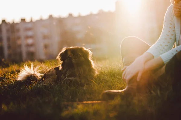 Vacker kvinna med sin hund i naturen — Stockfoto