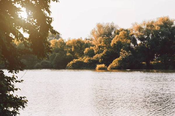 Paesaggio Autunnale Con Alberi Lago — Foto Stock