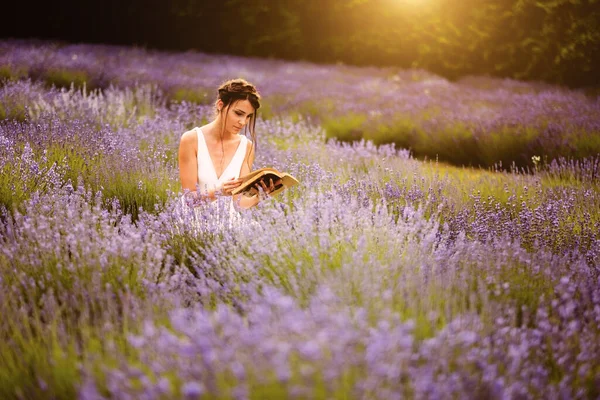 白いドレスを着た美しい女性は日没時に畑のラベンダーの花の間で本を読んで — ストック写真