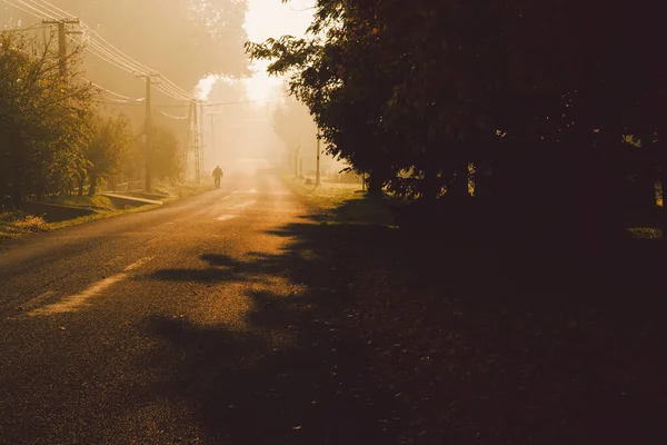 Nebelige Herbstlandschaft und asphaltierte Straße — Stockfoto