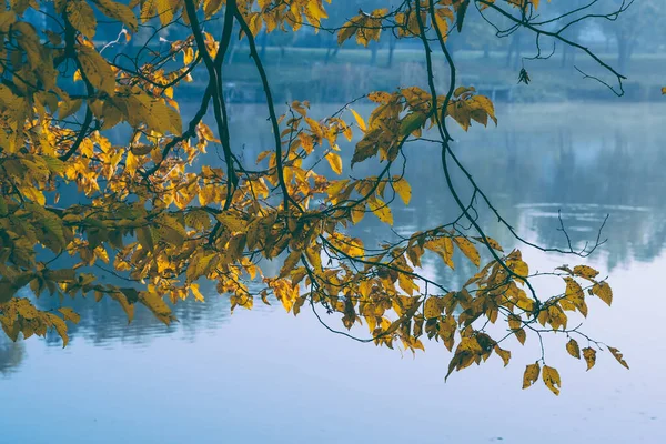 Rivier in herfstbos — Stockfoto