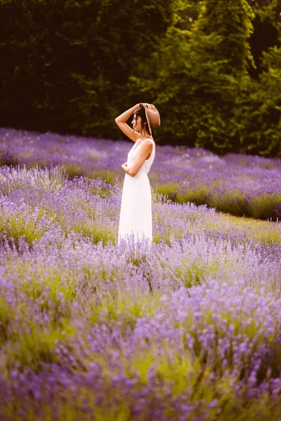 美丽的女人 身穿白衣 日落时分 站在田里的薰衣草花丛中 — 图库照片