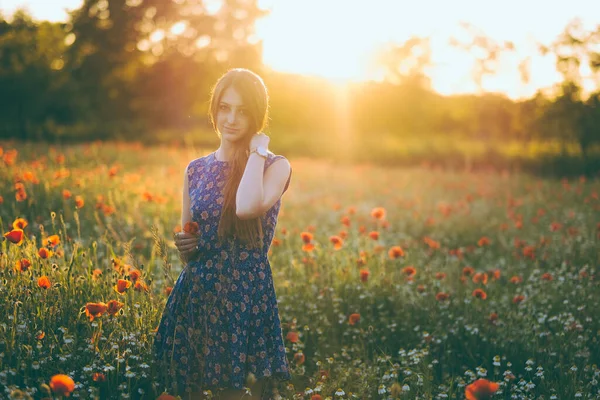 Krásná Dívka Poli Květin — Stock fotografie