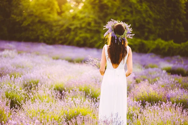 Beautiful Woman White Dress Collecting Lavender Flowers Field Sunset — Stock Photo, Image