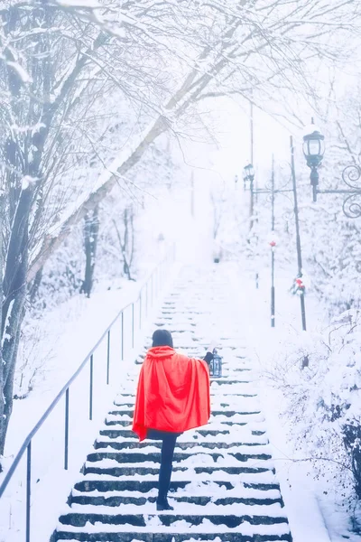 Genç Kadın Karlı Kış Parkında Yürüyor Telifsiz Stok Imajlar
